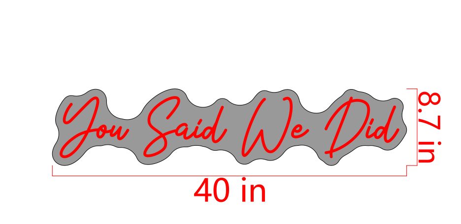 You said we did - Premium Neon Artwork